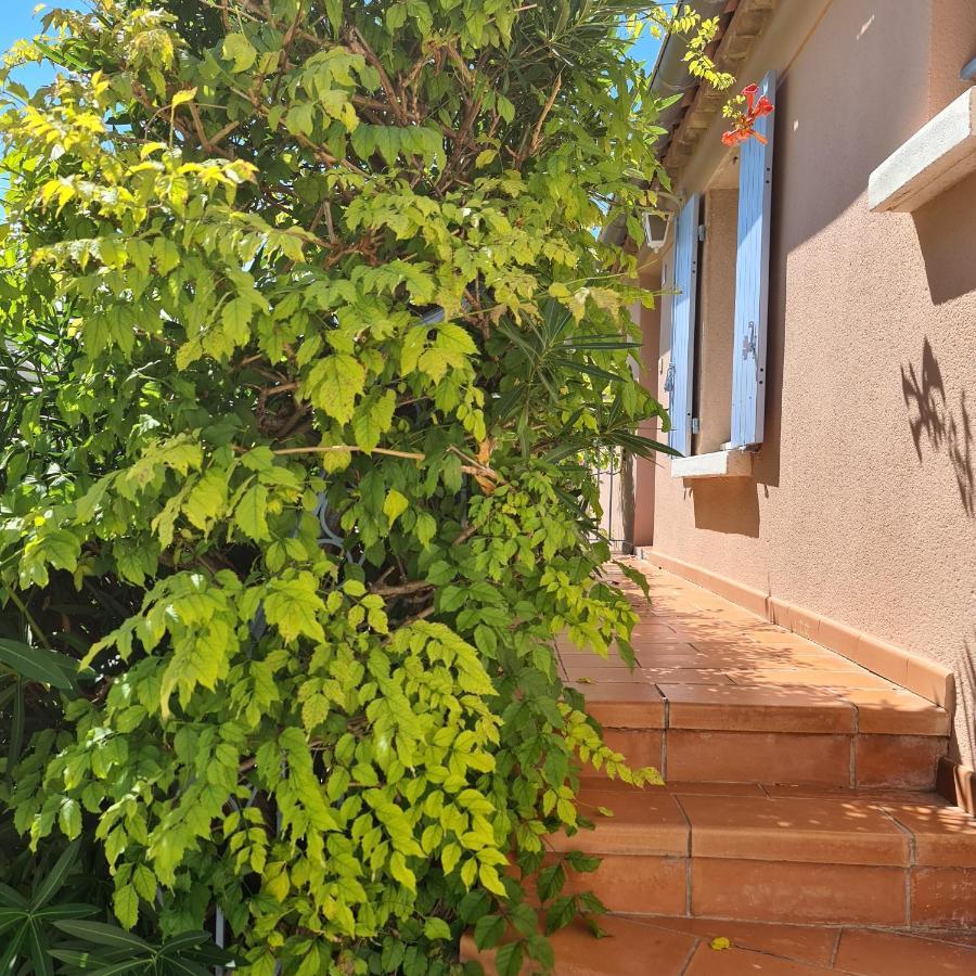 Apartament Hameau Des Amandiers - Vue Mer, Golf Et Vignes Saint-Cyr-sur-Mer Zewnętrze zdjęcie